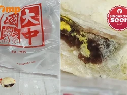 Shock! Pastry Berjamur Terjual, Ternyata Gegara Pegawai Amnesia