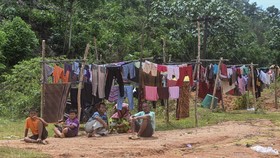 BPBD: Seluruh Pengungsi Banjir Aceh Barat Sudah Kembali ke Rumah