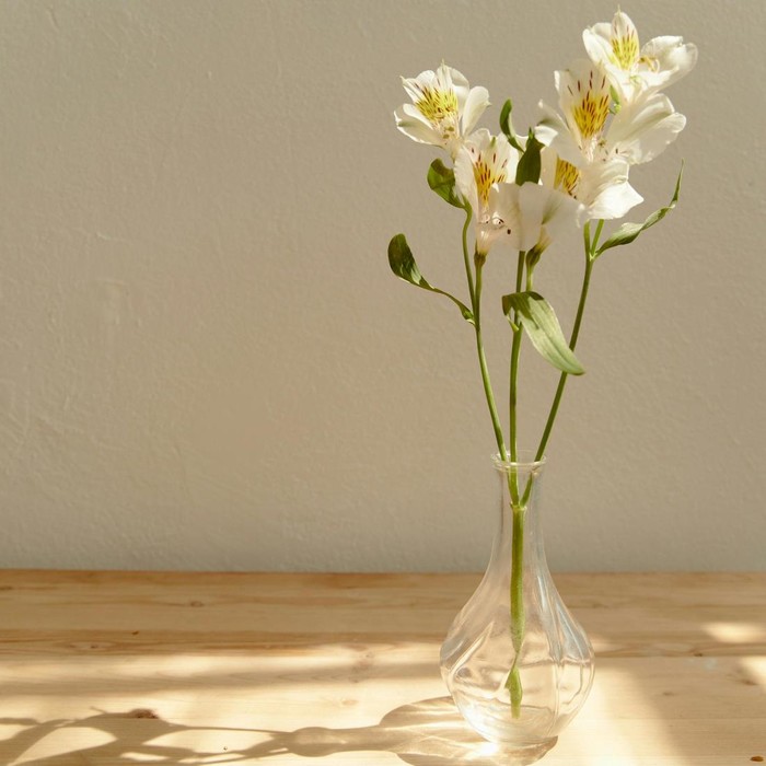 Menyimpan vas atau barang kaca yang mudah pecah di atas kulkas bukan tindakan yang bijak, karena kedua benda tersebut bisa jatuh dan pecah, bahkan membahayakan diri kamu