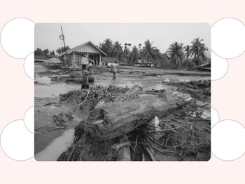 Solidaritas Nasional: Dari Rakyat untuk Rakyat