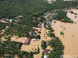 Malapetaka Ekologis di Separuh Pulau Sumatera