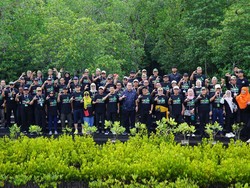 Ketua ICMI Bicara Pentingnya Mangrove untuk Keberlanjutan Lingkungan