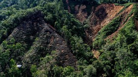 Satgas PKH Tagih Denda Triliunan ke 71 Perusahaan Sawit-Tambang