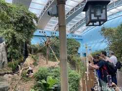 5 Rekomendasi Kegiatan Seru Liburan Bertema Nature Escape di Singapura