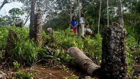 FOTO: Perambahan Hutan Jadi Biang Kerok Bencana di Tukka Tapteng