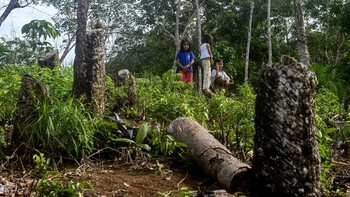 FOTO: Perambahan Hutan Jadi Biang Kerok Bencana di Tukka Tapteng