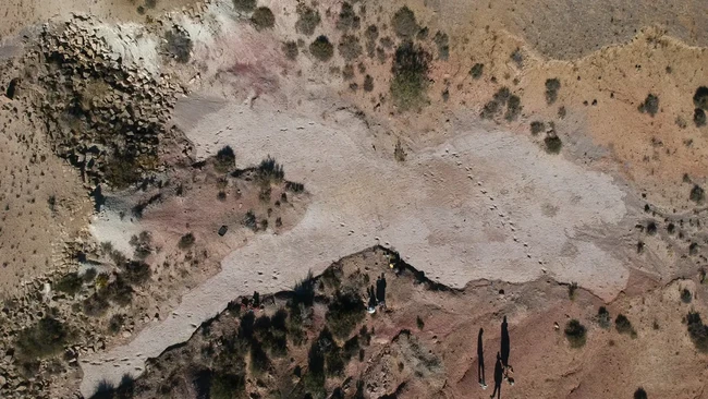 Studi terbaru menemukan 16.600 jejak kaki dinosaurus theropod di Bolivia, memberikan wawasan langka tentang pergerakan mereka di habitat Cretaceous.