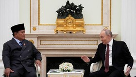 6 Poin Pertemuan Prabowo dan Putin di Rusia