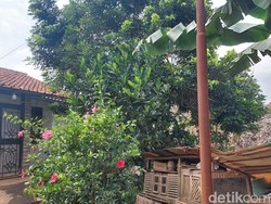 Derita Warga Serpong yang Rumahnya Nyaris Terkubur Sampah: Sesak Nafas-Gatal!