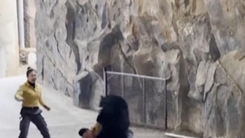 Detik-detik Beruang Serang Pawang Saat Pertunjukan Sirkus di China