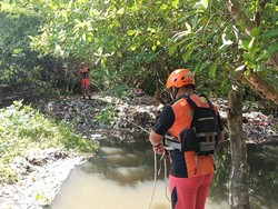 Lansia di Denpasar Hilang Berhari-hari, Diduga Masuk Hutan Mangrove