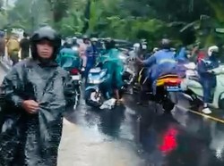 Jalur Amlapura-Denpasar Tersendat akibat Banjir, Ternak Warga Terendam