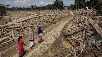 Pemerintah Kucurkan Rp93 M untuk UMKM Korban Bencana Sumatra