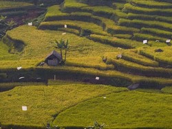 Famtrip Malasari 2025 Hadirkan Pesona Wisata Alam & Budaya Desa Malasari