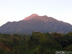 Sederet Sanksi 7 Pendaki Ilegal Gunung Merapi, Ada Blacklist 3 Tahun!