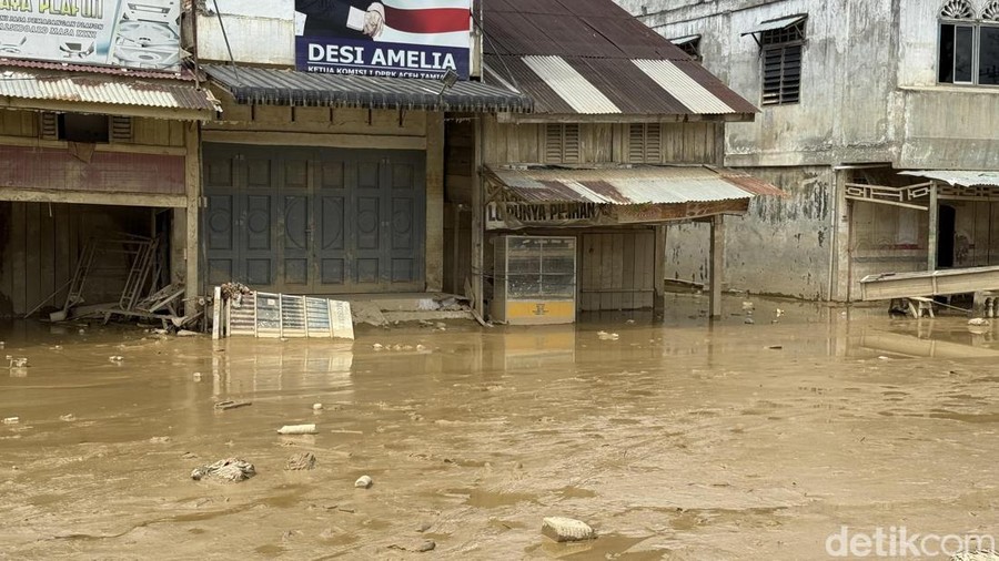 Kondisi Aceh Tamiang usai banjir surut