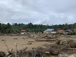 Kemensos Sumbang Rp 86,1 M Bantu Korban Bencana Sumatera