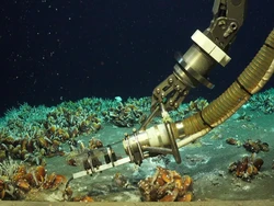 Temuan Ladang Hidrotermal di Perairan Tetangga RI, Ada Bebatuan Berkilau Emas