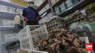Seberapa Besar Efek MBG terhadap Harga Susu hingga Telur?