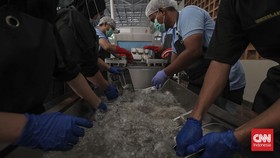 199 Kopdes Merah Putih Jadi Pemasok Program MBG