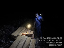 Pembalakan Liar di Bengkalis Dibongkar Polisi, 3 Orang Ditangkap