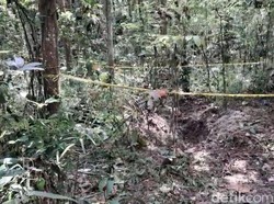 Pengacara Hilang 20 Hari Ditemukan Dikubur di Hutan Cilacap, Diduga Dibunuh
