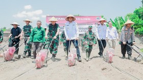 Bupati Klaten Bersama Danrem 074 Tanam Jagung Dukung Ketahanan Pangan
