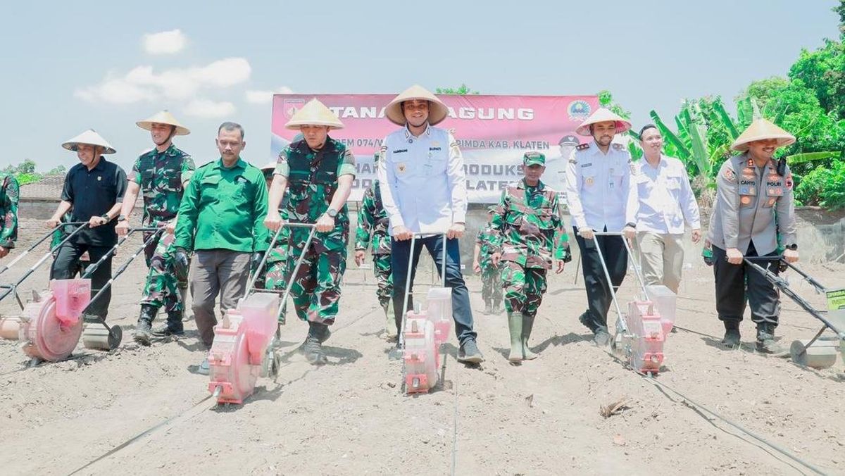 Bupati Klaten Bersama Danrem 074 Tanam Jagung Dukung Ketahanan Pangan