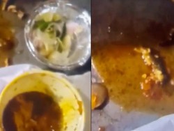 Kadal Mati Ikut Tersaji di Kari Ayam, Pelanggan Sampai Pingsan!