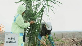 Efisiensi dan Disiplin Jadi Kunci Kinerja PTPN IV Regional III