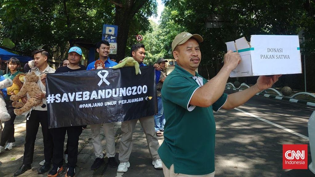 Bandung Zoo Disegel Usai Izin Dicabut, Walkot Farhan Buka Suara