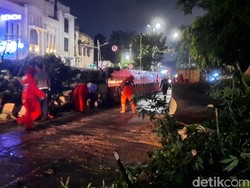 Pohon Tumbang di Pinangsia Jakbar Dievakuasi, Jalan Mulai Bisa Dilintasi