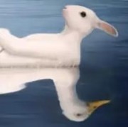 Tes Kepribadian: Gambar Pertama yang Dilihat Bisa Ungkap Jati Diri Kamu