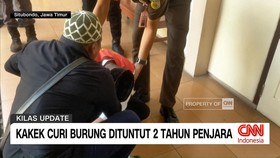 VIDEO: Kakek Curi Burung Dituntut 2 Tahun Penjara