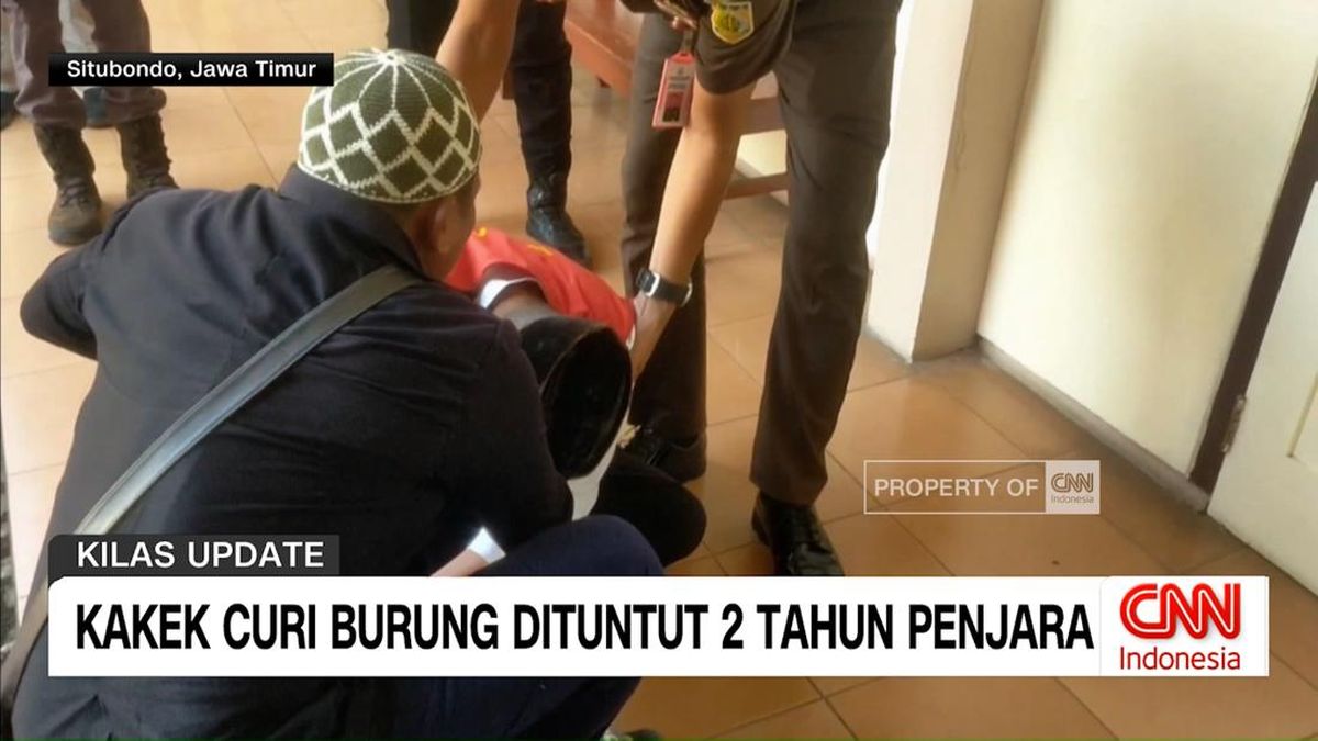 VIDEO: Kakek Curi Burung Dituntut 2 Tahun Penjara