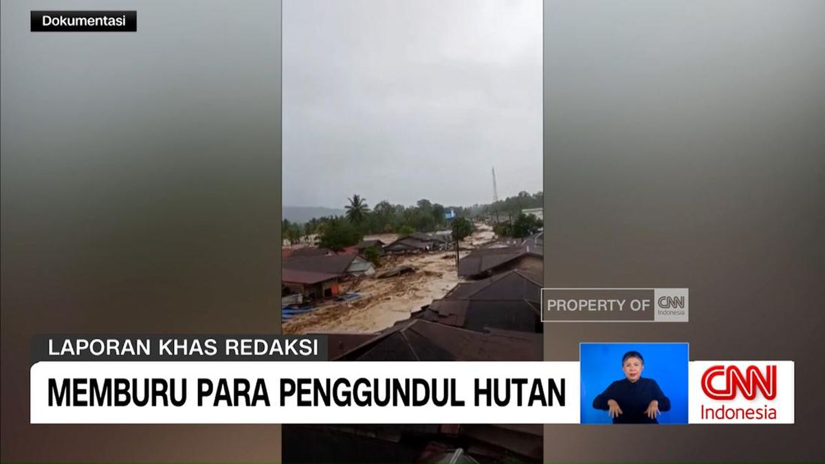 VIDEO: Memburu Para Penggundul Hutan