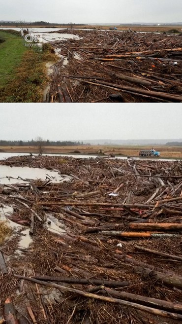Gelondongan Kayu Penuhi Sungai di Washington AS yang Meluap usai Badai