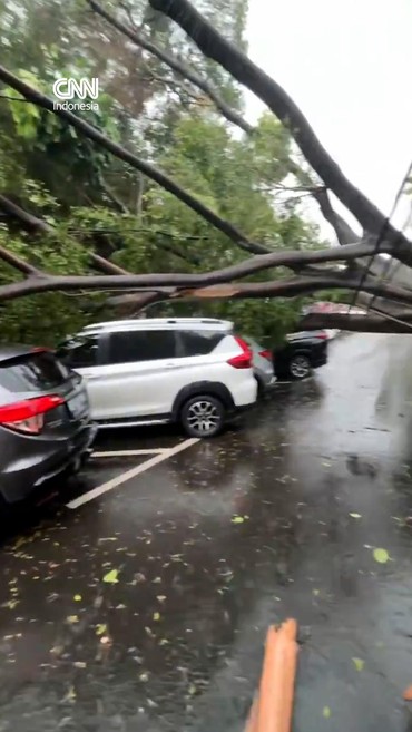 Hujan Badai, Pohon Tumbang Timpa 6 Mobil di Menteng