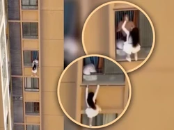 Viral Aksi Nekat Selingkuhan Panjat Dinding Apartemen Demi Hindari Istri Sah