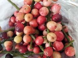 Buah Indonesia yang Mulai Langka hingga Sop Buntut Enak di Jakarta