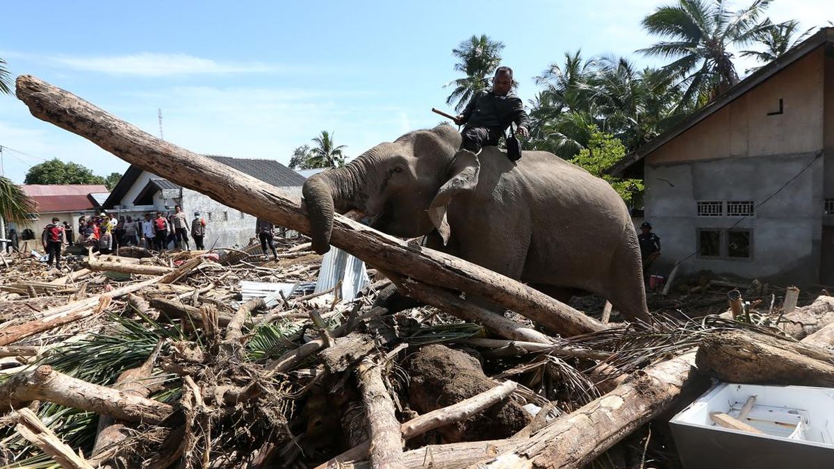 UNDP Masih Kaji Surat Permintaan Bantuan Penanganan Bencana dari Aceh