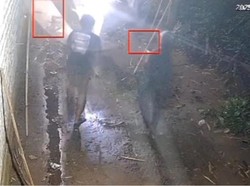 Residivis Pencurian Hewan Serang Polisi Pakai Parang di Bangkalan