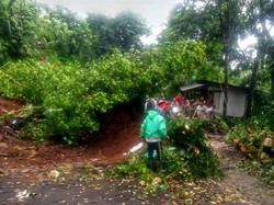Jalan Bagbagan-Kiaradua Sukabumi Dikepung Longsor, Akses Lalin Lumpuh