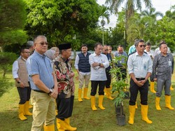 Bank Sumsel Babel Luncurkan Program 1 Tree 1 Employee