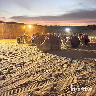 Menyusuri Kilau Kota Emas: Perjalanan Mewah Menuju Gerbang Dubai Melalui Langit Emirates