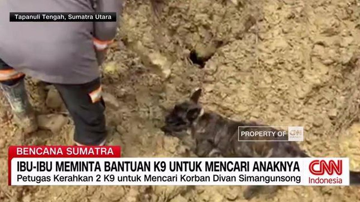 VIDEO: Ibu-ibu Meminta Bantuan K9 untuk Mencari Anaknya