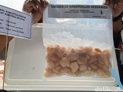 Dorong Daya Saing Global, Sumsel Bangun Sistem Digital Ketelusuran