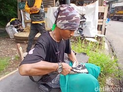 Cerita Sulaeman Mengais Rezeki di Tengah Pembongkaran Bangli