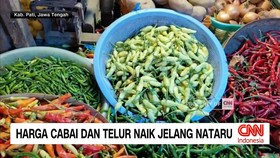 VIDEO: Harga Cabai dan Telur Naik Jelang Nataru