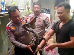 Warga Bekasi Ngadu Ular Masuk Rumah ke 110, Polisi Turun Tangan